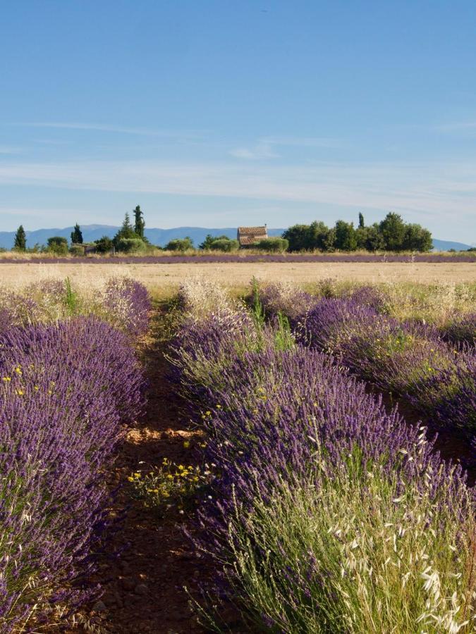 Verdon Secret - L'Escapade Parfaite Греу-ле-Бэн Экстерьер фото